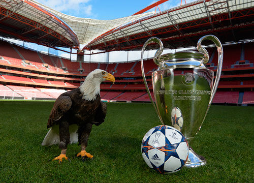 10吨植物油精炼设备