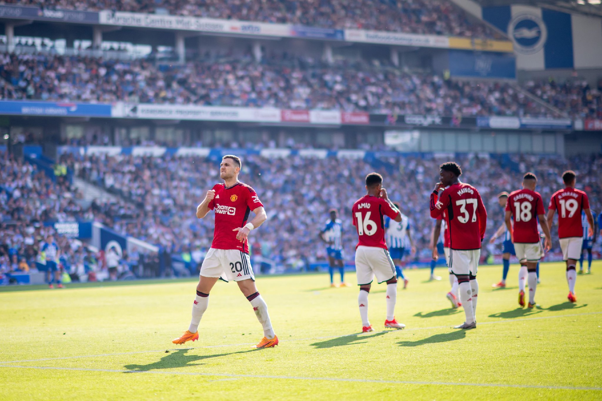 10吨植物油精炼设备