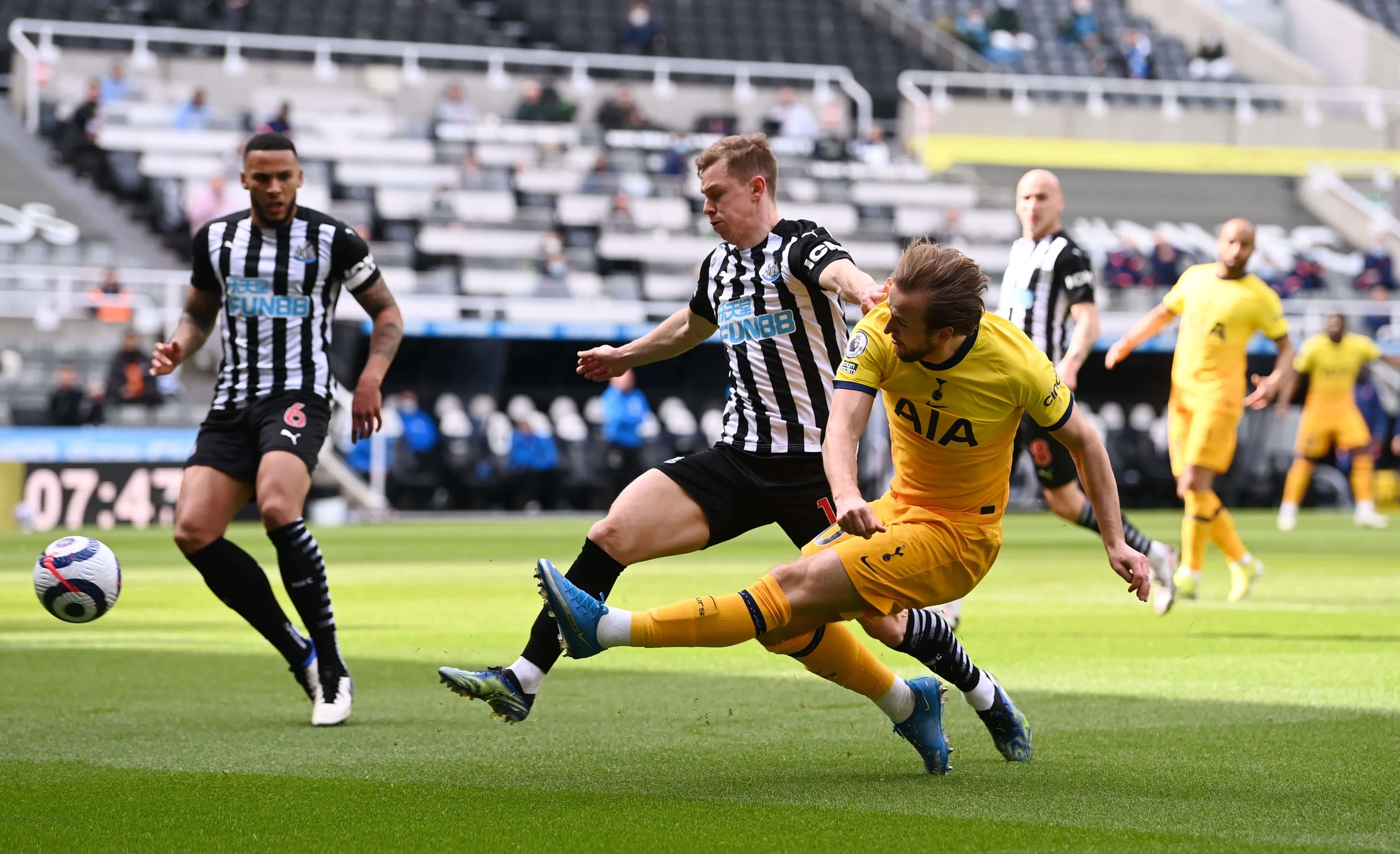 动物油精炼设备